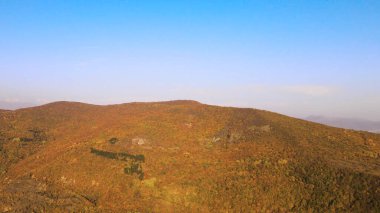 Güneşli bir günde sarı sonbahar ormanı olan dağın tepesi. Görüntü. Sonbahar sarı ağaçları sabah güneşiyle aydınlatılan güzel dağ manzarası. Mavi gökyüzünün arkaplanındaki sarı dağ