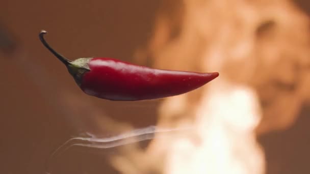 Close-up of red pepper on background of fire. Stock footage. Hot red chili pepper on background of flame of fire. Chili pepper burning like flame of fire. Promotional video with hot pepper — Stock Video