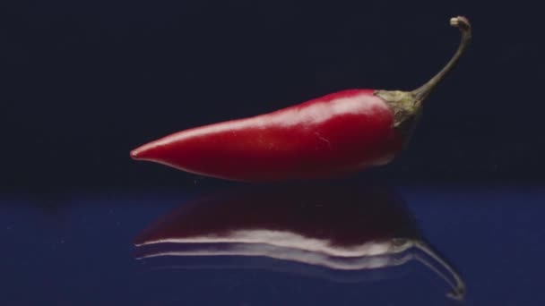 Close-up of hot red pepper on isolated background. Stock footage. Hot red pepper lies on flat reflective surface. One hot red chili pepper — Stock Video
