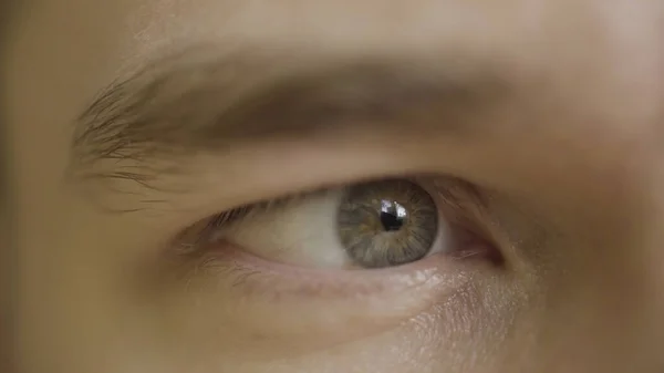 Makro zbliżenie człowiek szare i niebieskie oko wygląda nerwowo. Akcja. Mężczyzna z otwartym okiem, detale ludzkiej twarzy z rzęsami, powiekami i brwiami. — Zdjęcie stockowe