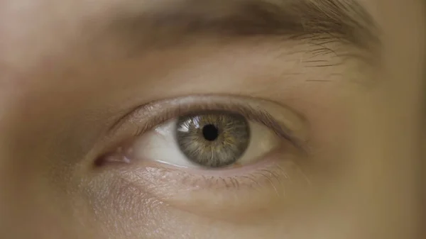 Hombre emocional mirando a la cámara y coqueteando con alguien. Acción. Primer plano del ojo verde masculino con la ceja que levanta, emociones humanas. —  Fotos de Stock