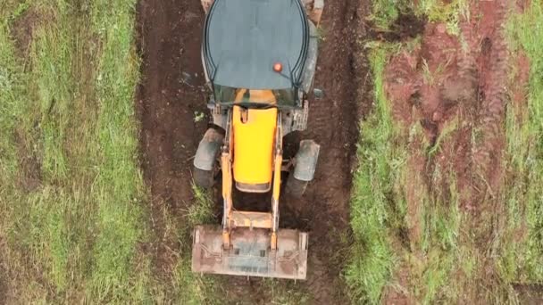 Widok z góry koparki pracy w terenie. Klip. Buldożer oczyszcza działkę z zielonych zarośli. Buldożer oczyszcza pole zielonej trawy — Wideo stockowe