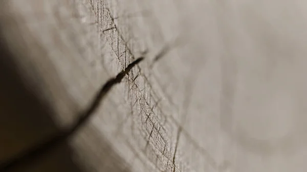 The round edge of the cut log, wooden texture. Action. Close up of cut ree trunk surface, concept of carpentry.