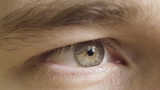 Close-up van het menselijk oog dat de concentratie op het object uitdrukt. Actie. man oog onder zonlicht kijken recht, staren. — Stockvideo