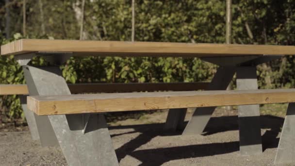 Primer plano de un banco de madera y una mesa al aire libre en un parque de la ciudad. Acción. Hermoso lugar para un picnic en el fondo de verdes árboles de verano. — Vídeos de Stock