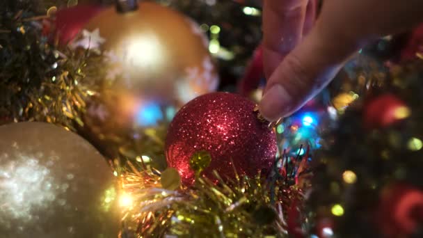 Κοντινό πλάνο του κοριτσιού χέρι λαμβάνοντας ένα κόκκινο πλαστικό λάμπει χριστουγεννιάτικη μπάλα. Έννοια. Πρωτοχρονιάτικες διακοπές, παιχνίδια και γιρλάντες για διακόσμηση ερυθρελάτης. — Αρχείο Βίντεο