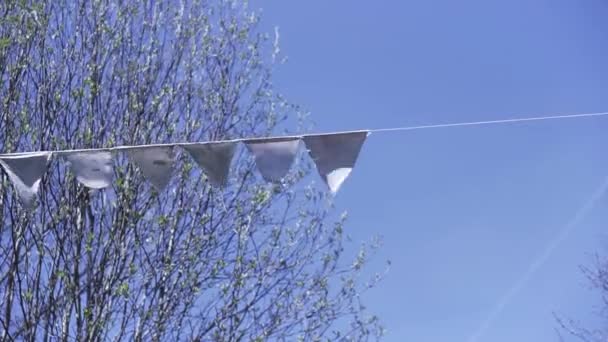 Małe trójkątne flagi wiszące na linie i trzepoczące na wietrze. Klip. Białe flagi na tle łysych brzozy i błękitne niebo. — Wideo stockowe