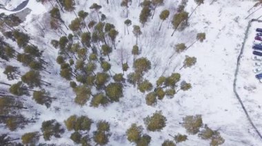 Kışın ormanla çevrili köy manzarası. Başla. Kışın vahşi ormanlarla çevrili kır evleri. Kış günü ormanın yakınında küçük bir köy.