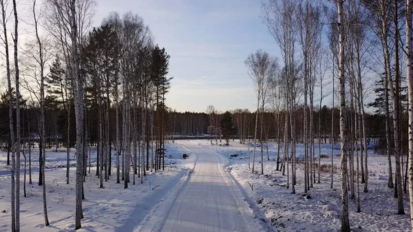 Luchtfoto van het winterlandschap met besneeuwde weg. Actie. Vliegend langs zeldzame bomen richting bos en blauwe bewolkte lucht, Siberië, Rusland. — Stockfoto