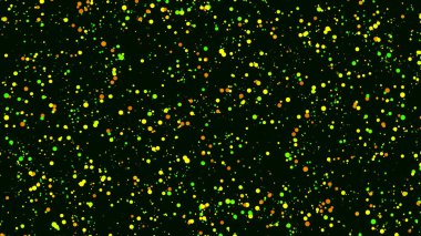 Siyah zemin üzerinde akan küçük yeşil ve sarı parçacıklar. Animasyon. Güzel hareketli bokeh alanı, şenlikli şablon, kusursuz döngü.