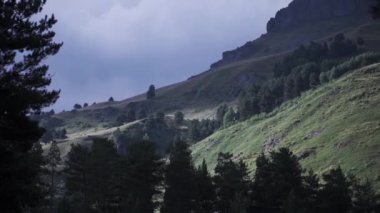 Dağ yamacının tepesinde yeşil ot ve ormanla kaplı sis bulutları. Şarjör. Yaz manzarası yüksek bir dağ ve alacakaranlığın gölgesinde gizlenmiş çam ağaçları ile ağır bir gökyüzü..