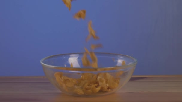 Knusprige gelbe Cornflakes, die morgens für ein leckeres Frühstück in die Schüssel fallen. Handeln. Maisflocken in transparente Glasschale gießen, die auf einem Holztisch an der blauen Wand steht — Stockvideo