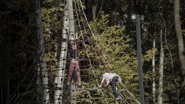 快乐的小女孩在操场上玩耍。行动。在绿色的早秋森林附近玩攀爬网的孩子. — 图库照片