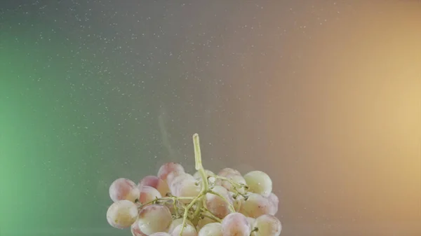 Ветвь винограда падает в прозрачную воду на зеленом и бежевом фоне. Начали. Закрытие брызг свежих ягод в аквариуме с воздушными пузырьками, концепция здорового питания, диета. — стоковое фото