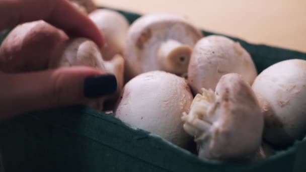 Κοντινό πλάνο των γυναικείων χεριών που παίρνουν μανιτάρια σχηματίζουν ένα πλαστικό κουτί. Έννοια. Έννοια της μαγειρικής χορτοφαγικό φαγητό με champignons. — Αρχείο Βίντεο