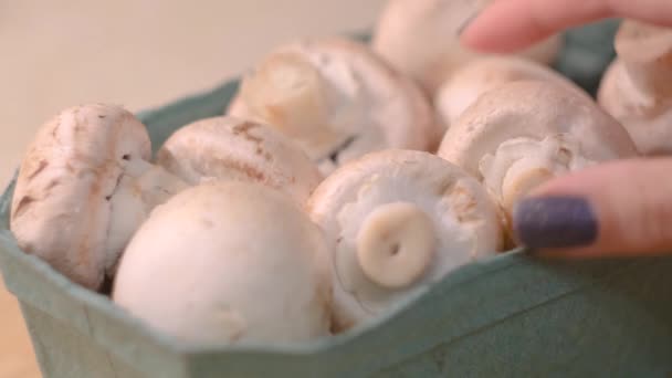 Primer plano de la mano tomando champiñón. Concepto. La mujer elige setas frescas para cocinar. Champiñones crudos para cocinar en casa — Vídeo de stock