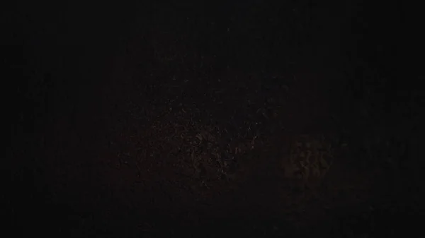 Primer plano de gotas de agua goteando sobre vidrio por la noche sobre un fondo desenfocado de la calle de la ciudad. Concepto. Luces oscuras de la calle de la noche detrás de la lluvia cae en una ventana. —  Fotos de Stock