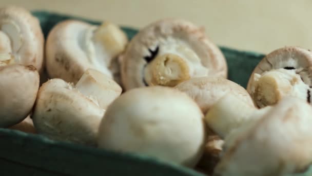 White raw mushrooms inside a green plastic small basket. Concept. Close up of fresh champignons, vegetarian dishes. — Stock Video
