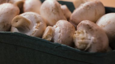 Yeşil plastik bir kutuda pişmemiş taze, çiğ kraliyet şampiyonu mantarları yakın plan. Kavram. Plastik bir kapta pişmeye hazır beyaz mantarlar..