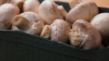 Yeşil plastik bir kutuda pişmemiş taze, çiğ kraliyet şampiyonu mantarları yakın plan. Kavram. Plastik bir kapta pişmeye hazır beyaz mantarlar..