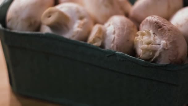 Großaufnahme von rohen, rohen Champignon-Champignons in einer grünen Plastikbox. Konzept. Weiße Pilze in einem Plastikbehälter bereit zum Kochen. — Stockvideo