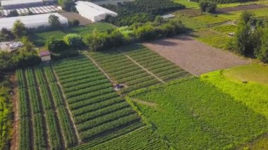 Birçok tarım alanının en üst görüntüsü. Şarjör. Birçok çeşit sebze ve meyve tarım alanlarında sera ile birlikte yetiştirilir. Yeşillik ve bitki çeşitliliğine sahip tarım alanları