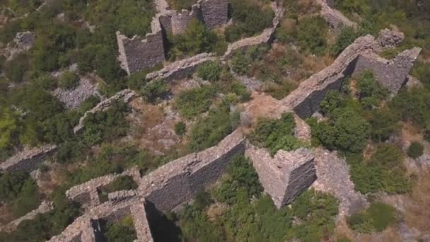 Natura i ruiny opuszczonej wioski tonące w roślinności. Klip. Widok z lotu pędzonych ścian starożytnych budynków i zielonych drzew. — Wideo stockowe