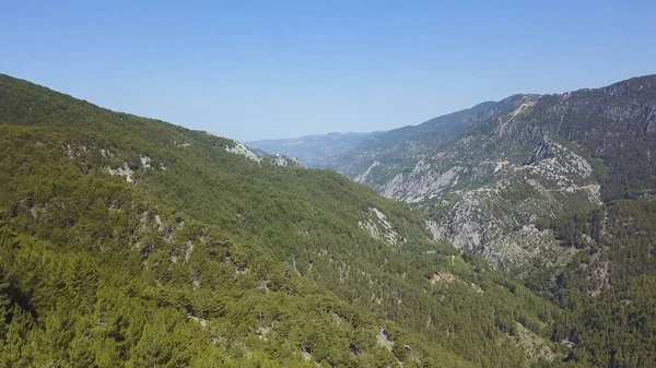 Zielone pasmo górskie całkowicie pokryte drzewami i roślinnością. Klip. Wspaniały widok z lotu drona nad pięknymi zielonymi górami porośniętymi lasami. — Zdjęcie stockowe