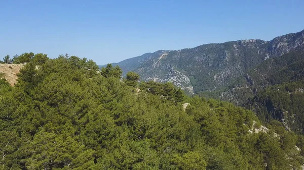 Zielone pasmo górskie całkowicie pokryte drzewami i roślinnością. Klip. Wspaniały widok z lotu drona nad pięknymi zielonymi górami porośniętymi lasami. — Zdjęcie stockowe