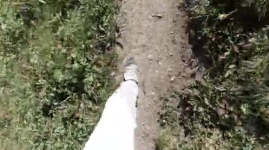 Güneşli bir günde dar bir dağ yolunda yürüyorum. Şarjör. Erkek bacakları kayalık yamaca tırmanıyor. Çimen yetiştiriyor. Yürüyüş konsepti..