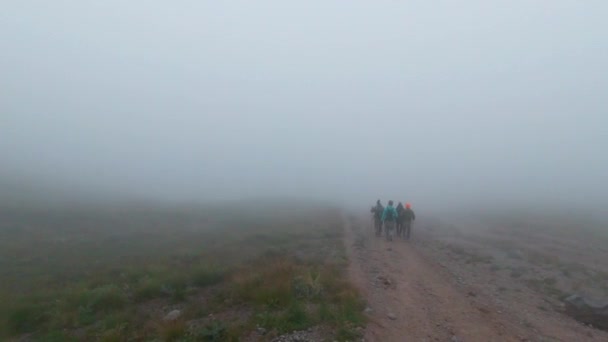 Un grupo de turistas entra en la niebla. Clip. Los turistas activos desaparecen en la espesa niebla en el campo. Marchando grupo de personas entra en espesa niebla y desaparece — Vídeos de Stock