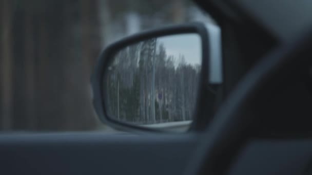 Zicht vanuit de rijdende auto op een zijspiegel. Voorraadbeelden. Details van auto interieur en zijspiegel met de reflectie van bos. — Stockvideo