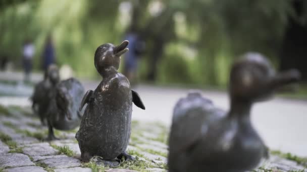 Zbliżenie brązowych posągów kaczek w parku miejskim. Akcja. Koncepcja dekoracji miasta, rząd małych kaczek wzdłuż chodnika na rozmytym tle zielonych drzew. — Wideo stockowe