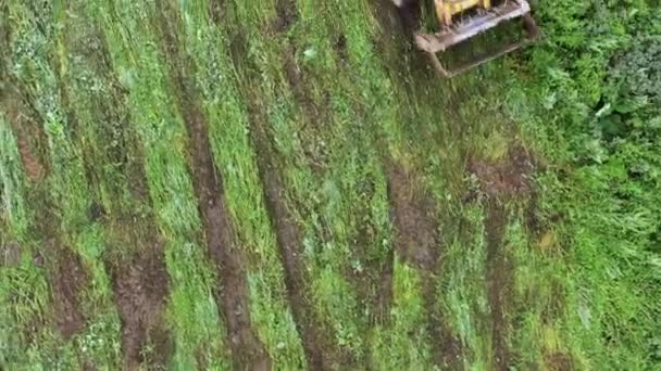 Vista aérea superior del campo de hierba verde y tractor. Clip. Agricultura Concepto industrial y de cultivo del suelo, preparación para la siembra de semillas o la plantación. — Vídeo de stock