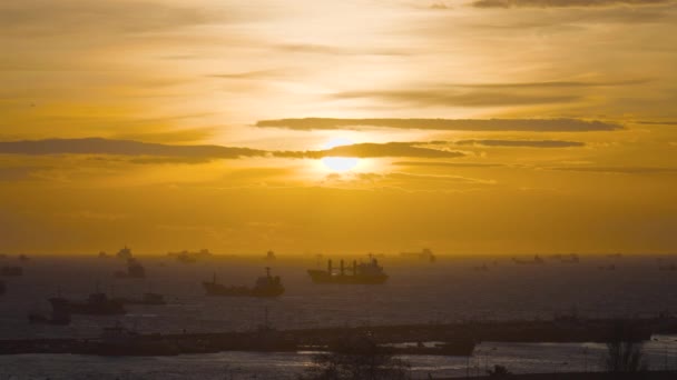 Muitos navios no mar no porto ao pôr do sol. Acção. Porto costeiro marítimo com variedade de navios diferentes ao pôr-do-sol. Tanques, navios de carga e navios navegam ao largo da costa no horizonte de fundo ao pôr-do-sol — Vídeo de Stock