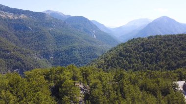 Orman tepeleri ve sisli havayla nefes kesici doğal manzara. Şarjör. Yeşil çimenler ve çalılarla kaplı sonbahar dağları.