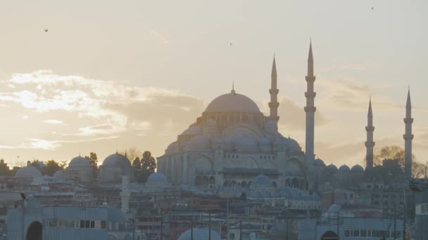 Beautiful view of majestic mosque on background of dawn. Action. Ancient mosque towers over area of Istanbul on background of twilight. Beautiful mosque at dusk. Istanbul Tourist Attractions — Stock Video