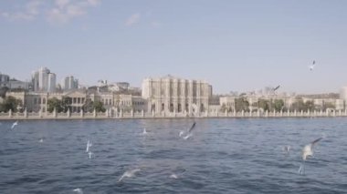 Küçük dalgalar ve su yüzeyine yakın uçan kuşlarla dolu güzel bir nehir manzarası. Başla. Nehir kıyısında bir yaz şehri.