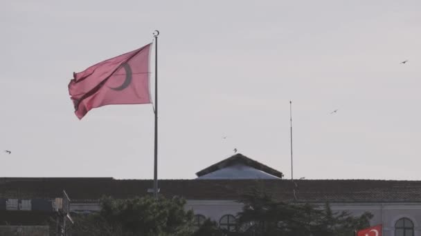 Türk bayrağı açık mavi gökyüzüne karşı rüzgarda dalgalanıyor. Başla. Türkiye 'nin kırmızı bayrağı binanın ve yeşil ağaçların üzerinde dalgalanıyor. — Stok video