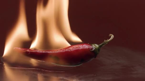 Aproape de ardei iute roșu fierbinte în flacără de foc izolată pe fundal roșu. Înregistrări stoc. Conceptul de gătit alimentar vegetarian . — Videoclip de stoc