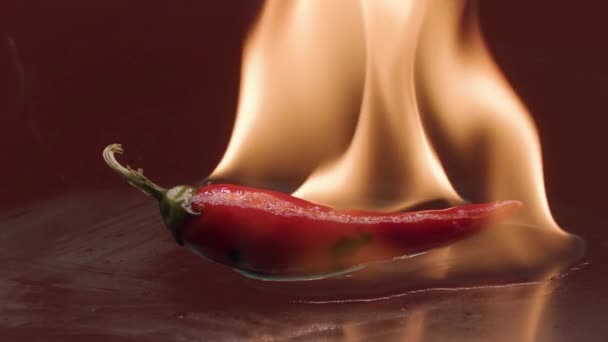 Primer plano de chile rojo picante en llama de fuego aislado sobre fondo rojo. Imágenes de archivo. Concepto de cocina vegetariana. — Vídeos de Stock