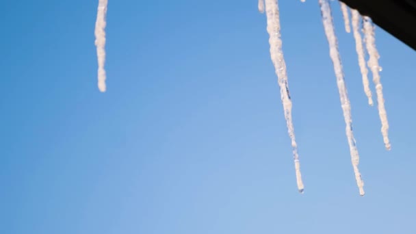 蓝天背景下清晰冰柱的特写。概念。美丽的薄薄的冰柱挂在晴朗的天空的背景上.冰柱在阳光灿烂的冬日慢慢融化 — 图库视频影像