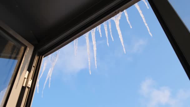 Icicles on background of blue sky. Concept. View from window of hanging clear icicles on clear day. Beautiful icicles over window on background of blue sky — Stock Video