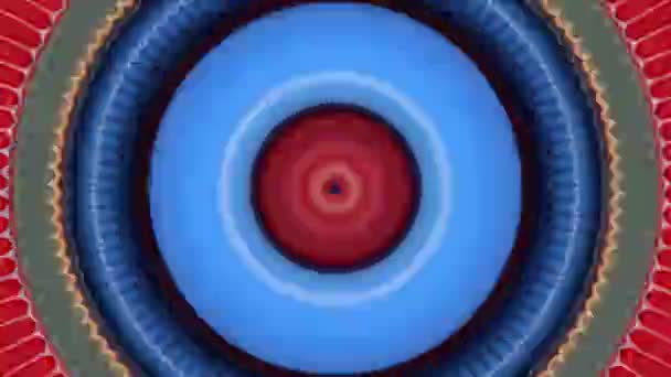 Cercles concentriques rotatifs cible avec effet psychédélique. Animation. Petits et grands anneaux lumineux clignotant avec des couleurs contrastées changeantes lumineuses, boucle transparente. — Video