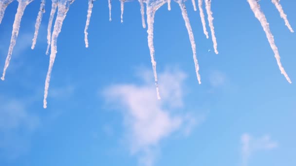 在蓝云的天空背景下,关闭融化冰柱的底部视图.概念。早春自然景观，冬末. — 图库视频影像