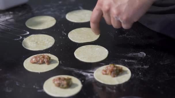 Cook putting minced meat on dough. Art. Close-up of professional chef applying minced meat for dumplings. Cooking dumplings with juicy minced meat — Stock Video