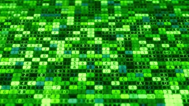 Groene achtergrond van vele cijfers en letters. Animatie. Computer achtergrond met veranderende waarden binnen matrix systeem. Coderen van beveiligingssysteem in matrix — Stockvideo