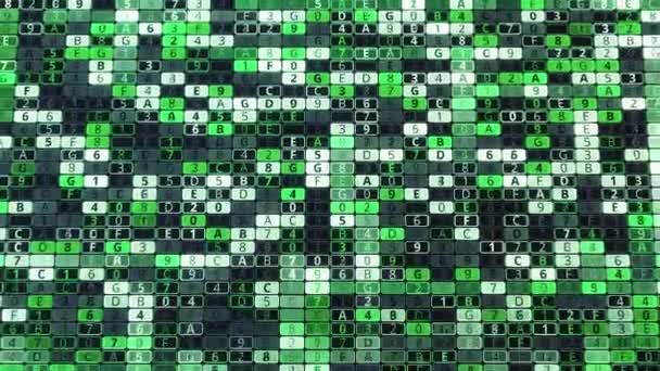 Groene achtergrond van vele cijfers en letters. Animatie. Computer achtergrond met veranderende waarden binnen matrix systeem. Coderen van beveiligingssysteem in matrix — Stockvideo