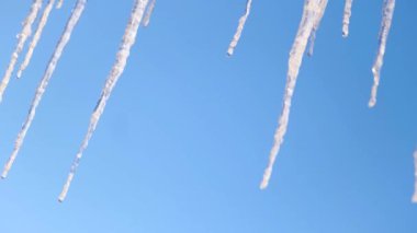 Bahar güneşinin altında eriyen buz saçaklarının alt görüntüsü. Kavram. Doğanın renkleri, buz saçaklarından dökülen su damlaları.