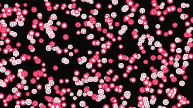 Soyut yıldız parçacıkları arka plan, kusursuz döngü. Animasyon. Beyaz ve pembe beş köşeli yıldız siluetleri siyah ekranda izole bir şekilde hareket ediyor..